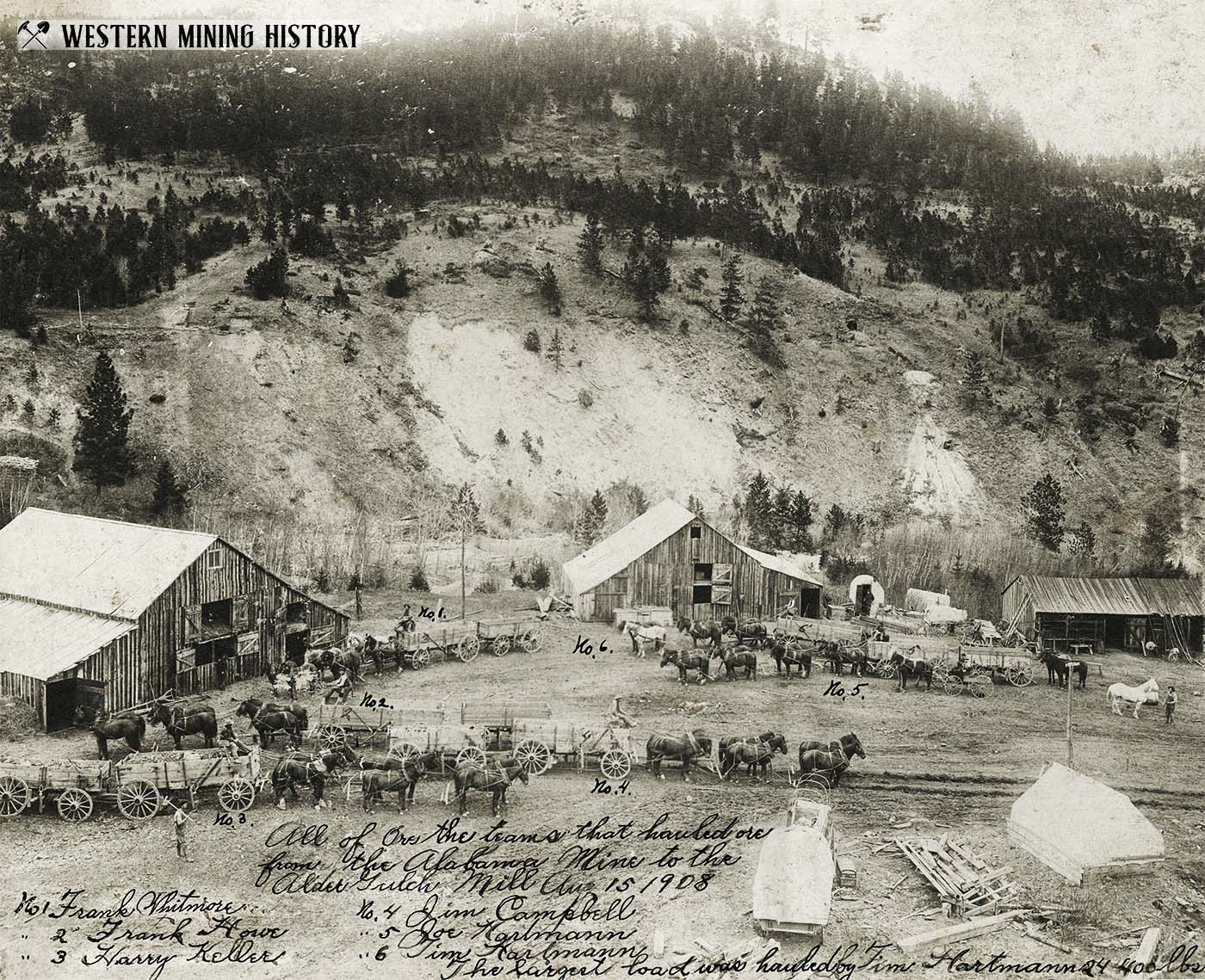 	Freight teams hauling ore from Alabama Mine to Alder Gulch Mill - near Zortman 1908