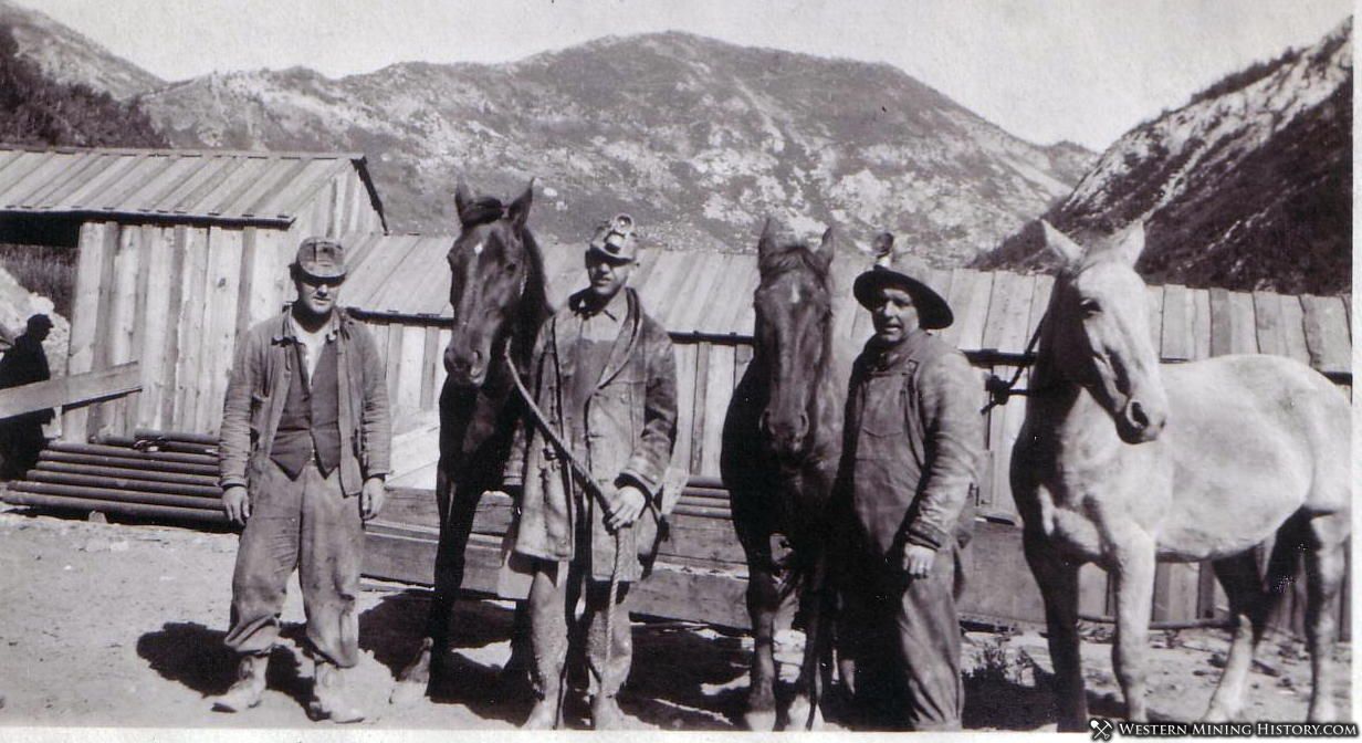 Leonard McKinley and other miners with horses - Alta – Western Mining ...