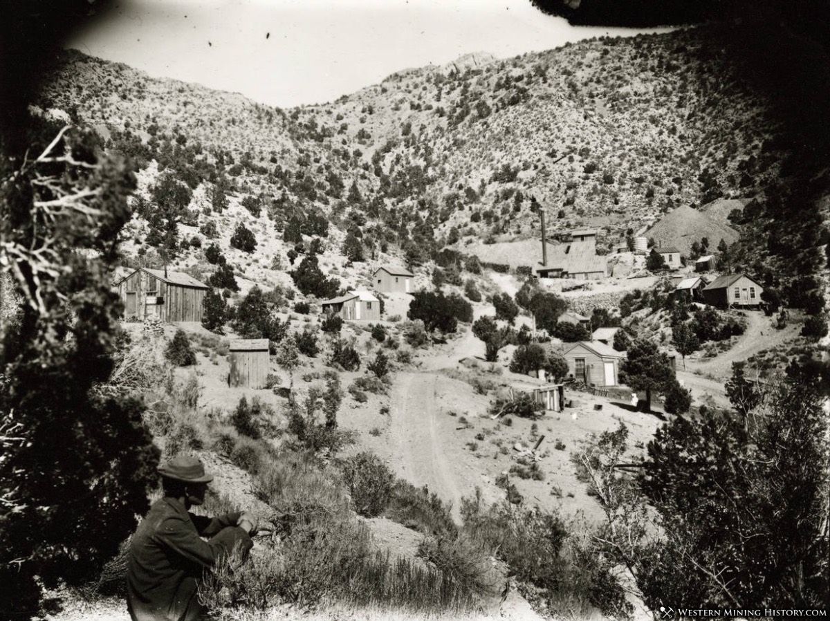 Bristol Mine and Town Site - Nevada