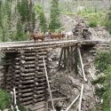 High bridge on the Ouray Stage Line (colorized)