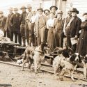 Dogs pulling a rail cart at Nome, Alaska
