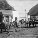 Burros packed for the mountains. A street scene in Ouray, Colorado