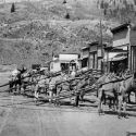 Burros loaded with track iron for mines at Silverton - September 1887