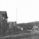 Greenhorn 1903