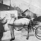 Horse-drawn sleigh Leadville
