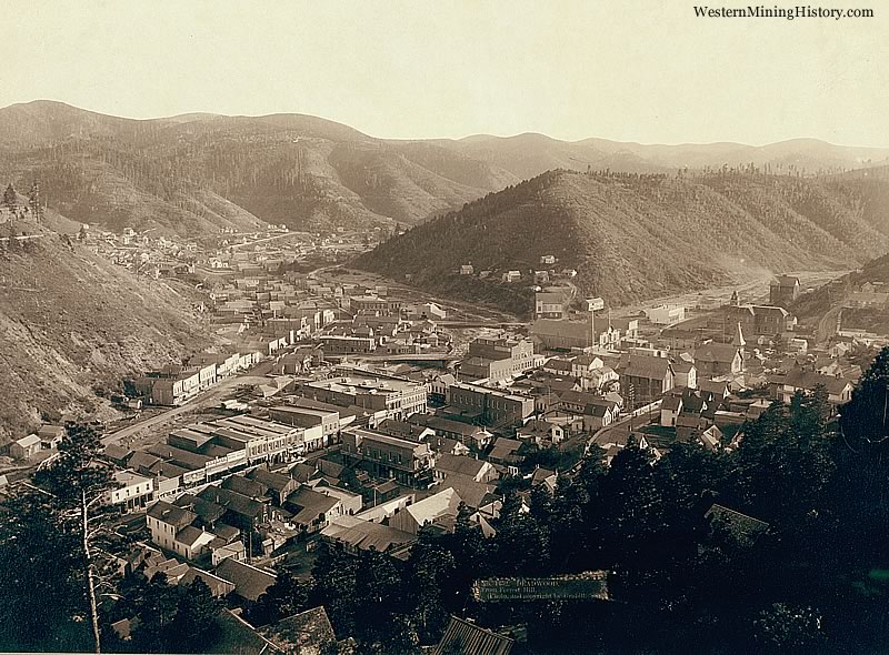 Deadwood from Forest Hill
