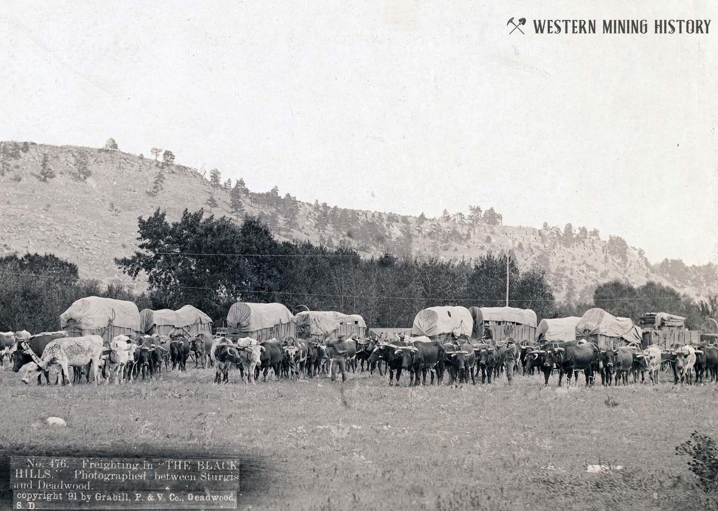 Freighting in The Black Hills
