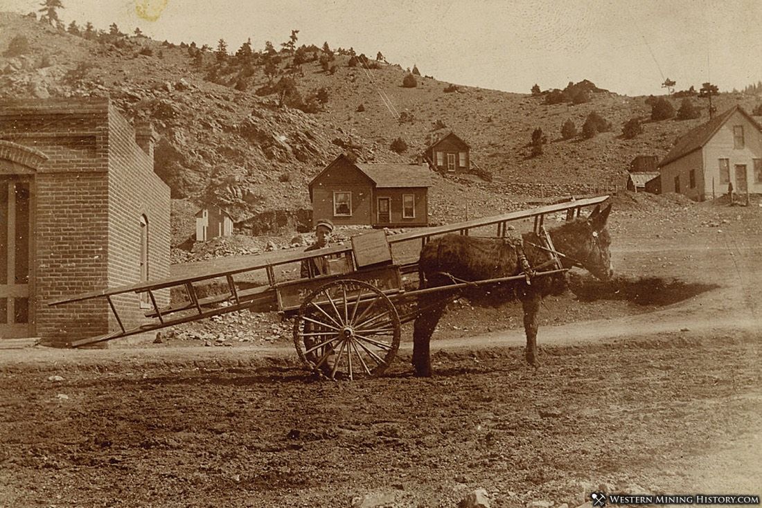 Mule cart in Idaho Springs Colorado ca. 1893
