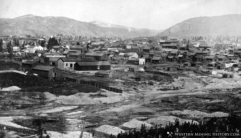View of Leadville from the Southeast 1879