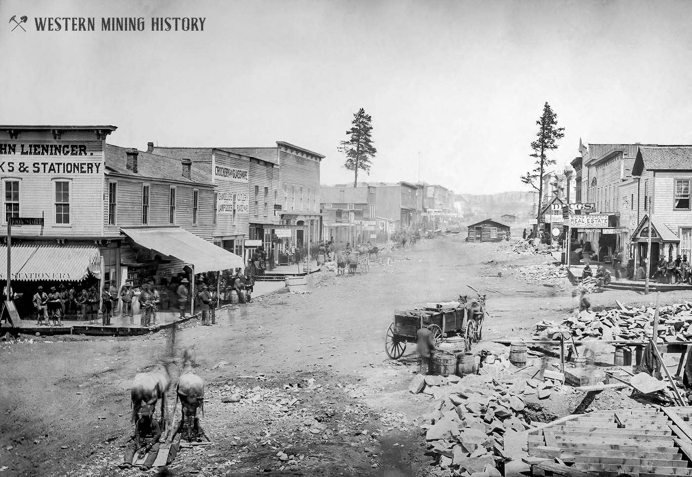 Leadville Colorado 1879