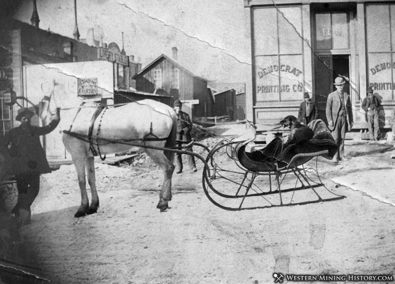 Dog at the reigns of a horse-drawn sleigh in Leadville, Colorado 1880s