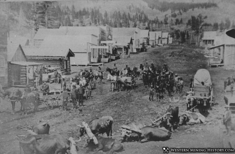 Maiden Montana 1887