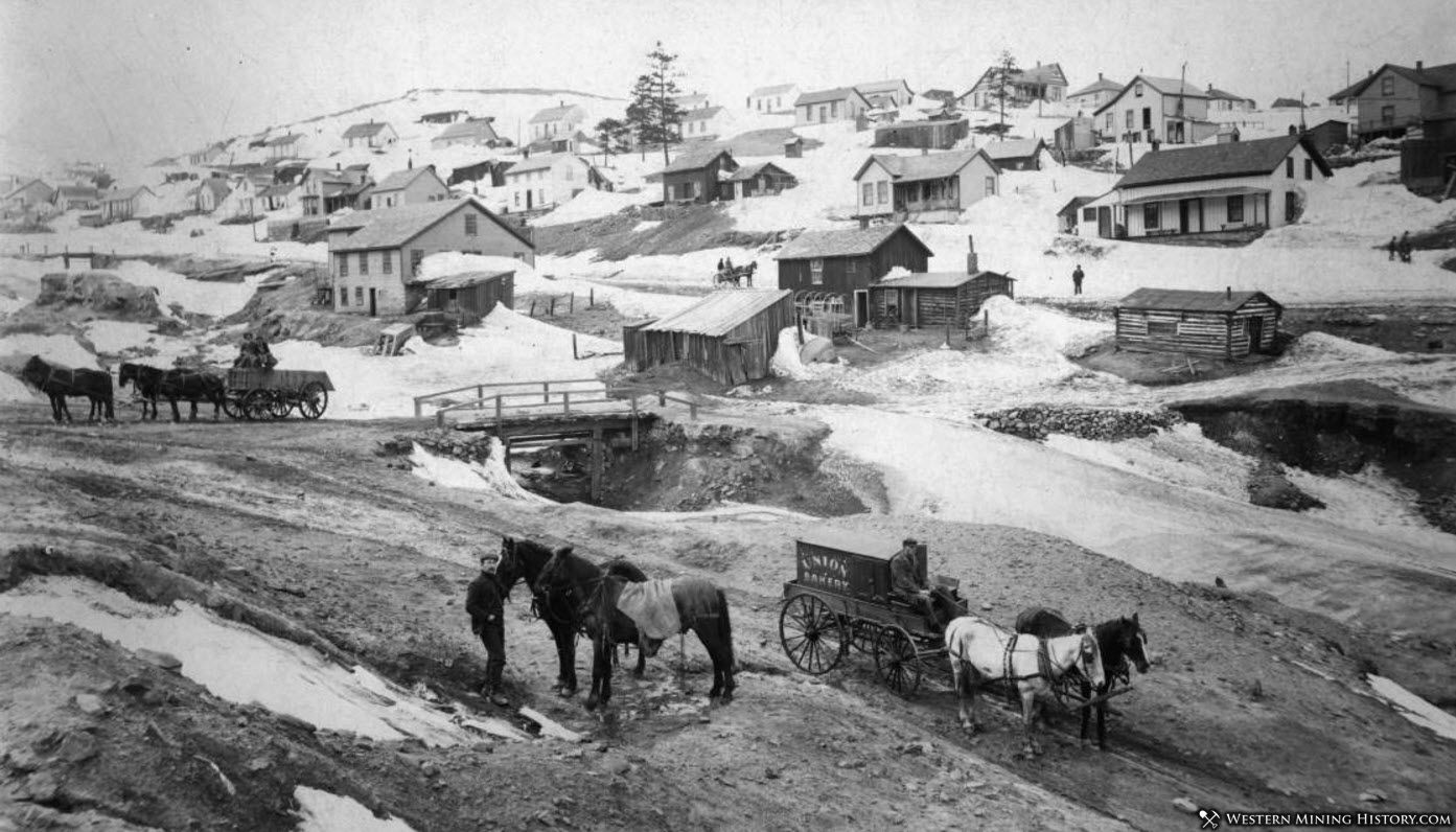 Nevadaville Colorado 1889