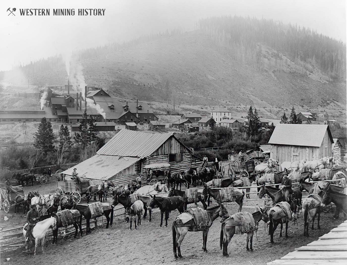 Freight teams at Pony, Montana ca. 1900