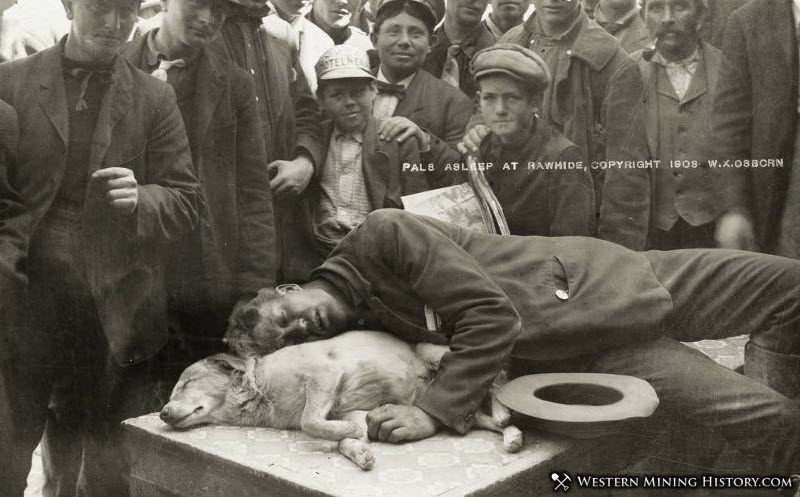 Man and dog asleep at Rawhide, Nevada 1908