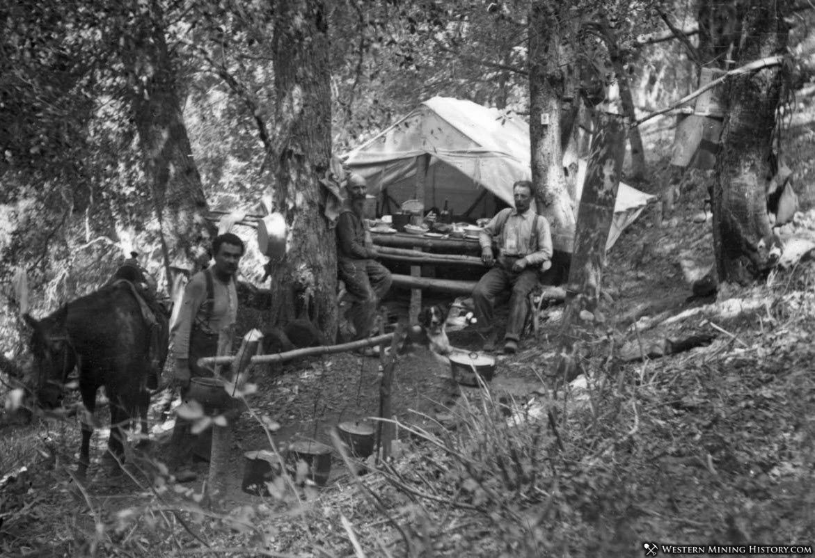 Camp in Sawyers Bar area ca1910