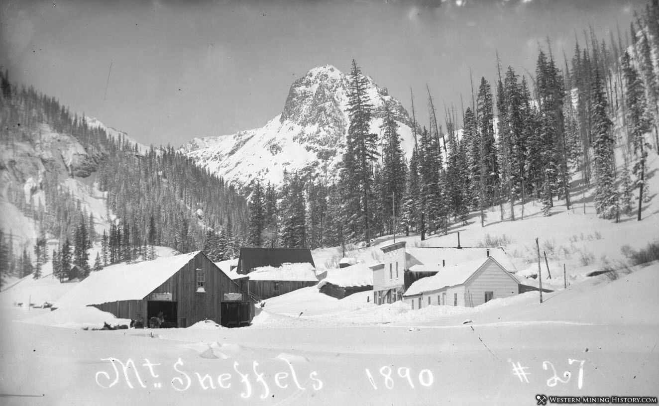 Sneffels Colorado with Mount Sneffels in the background 1890