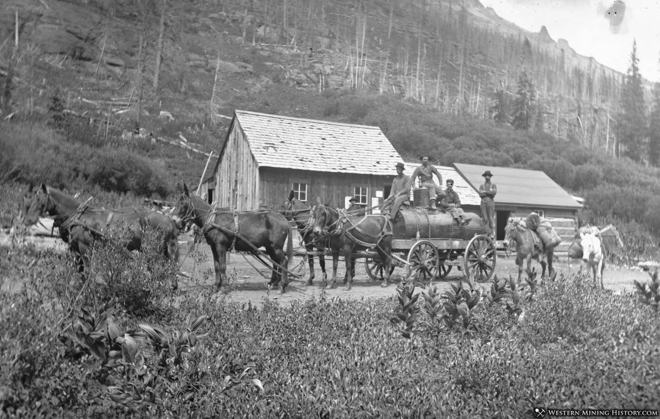 Mule-drawn wagon at Sneffels