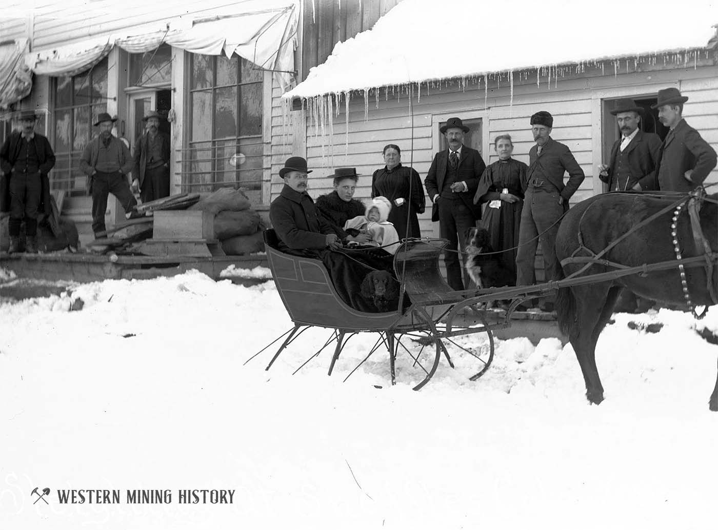 Dog with his family in a horse drawn-sleigh at Sneffels, Colorado 1896