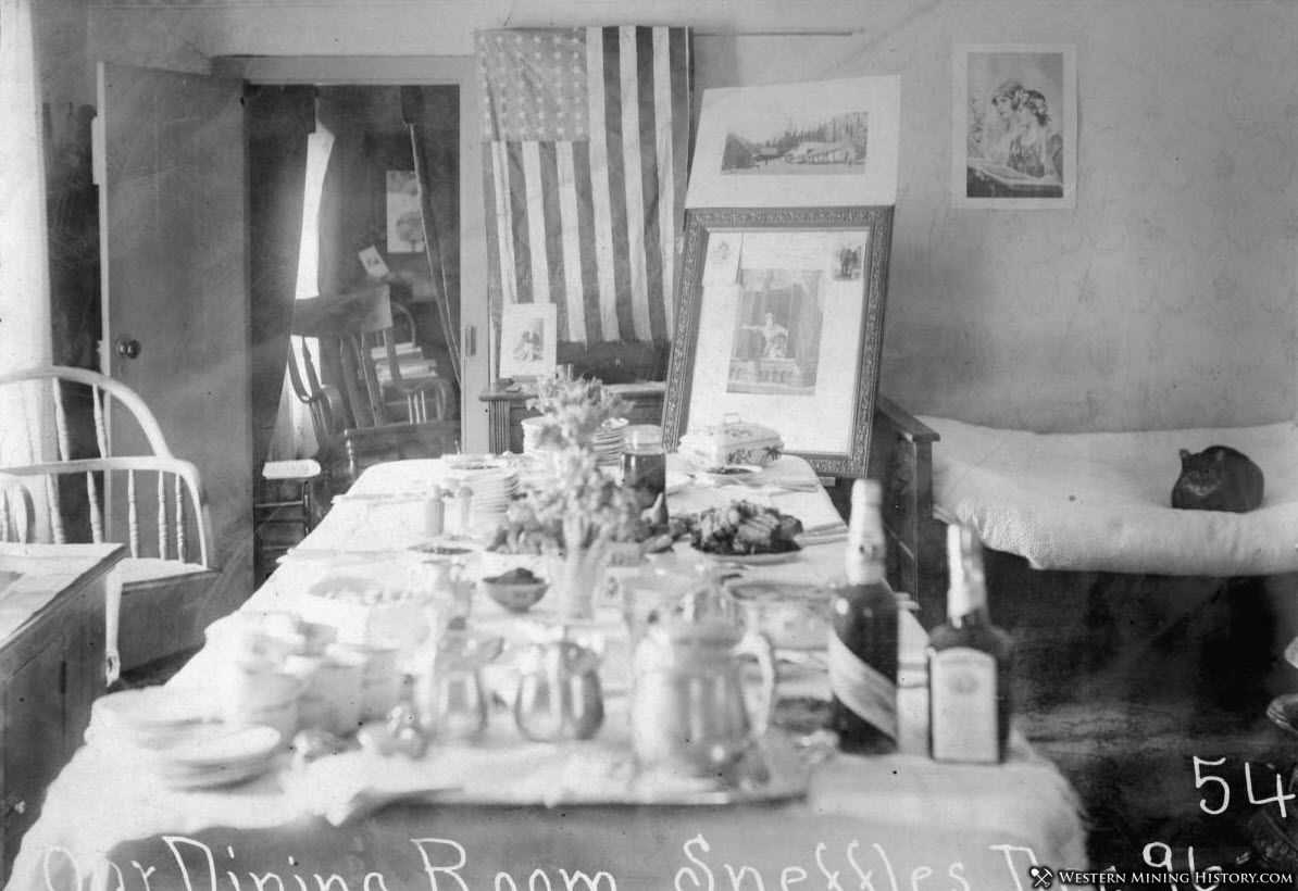 Interior view of historical home in Sneffels Colorado