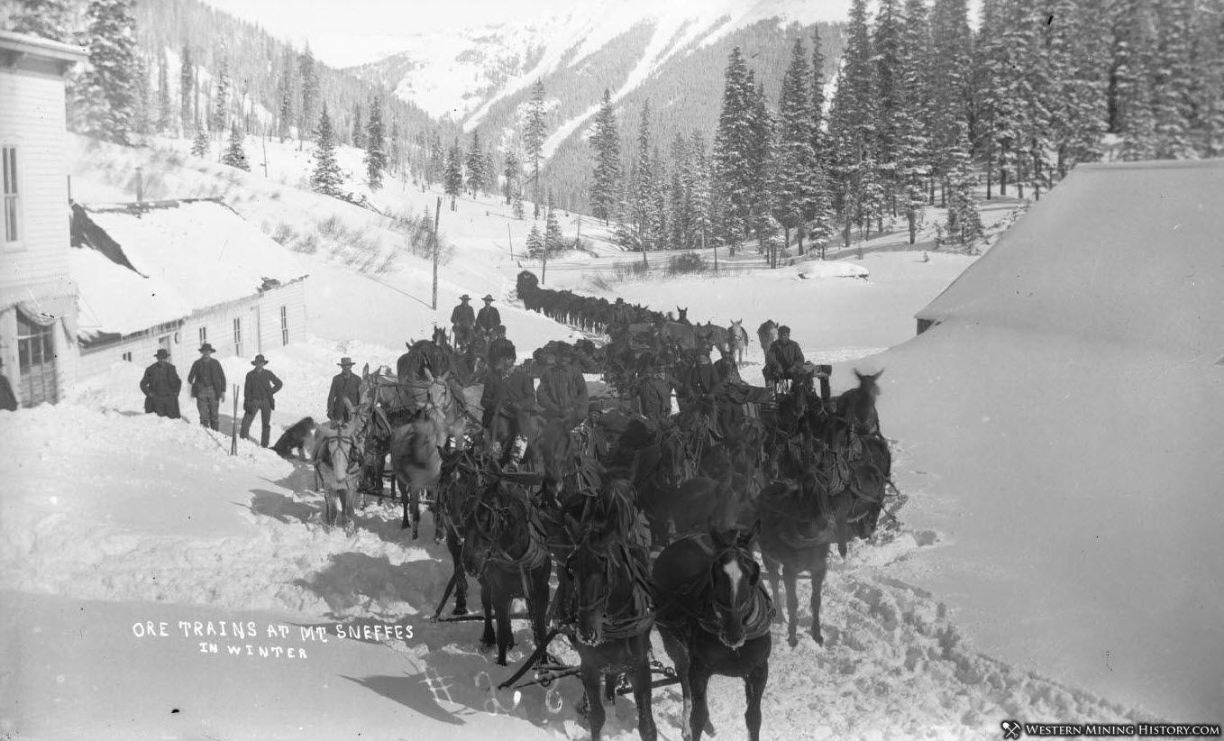 Ore wagon train at Sneffels ca. 1890