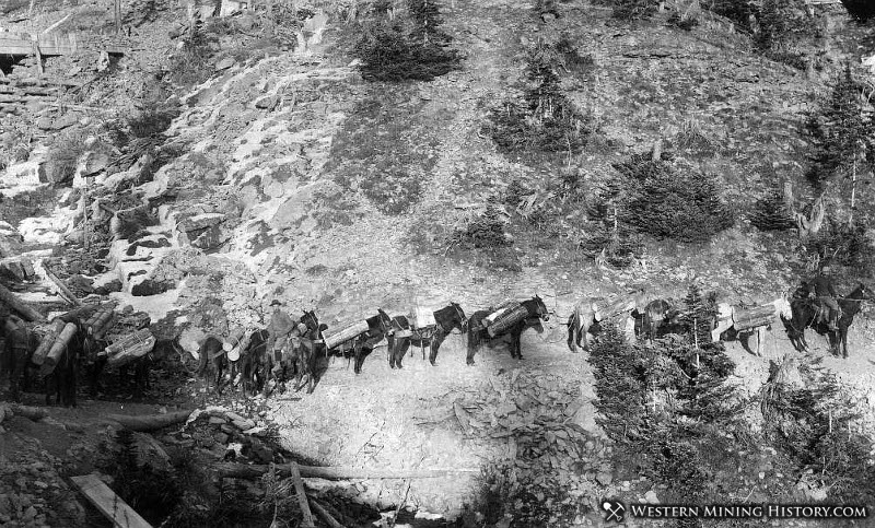 Pack train on a precarious trail outside of Telluride. ca1885