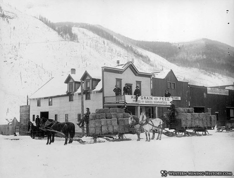 Horse-drawn sleighs stacked with bales of hay  - Telluride Colorado 1892