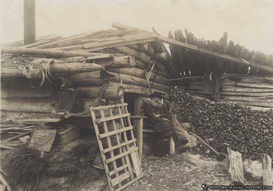 Miner at his driftwood cabin - Nome, Alaska ca. 1905