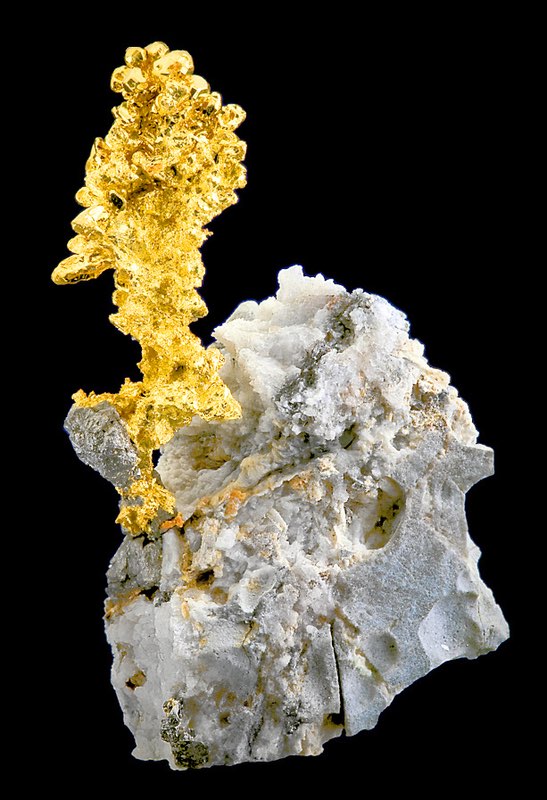 Gold Shows - NorthWest Mineral Prospectors ClubNorthWest Mineral