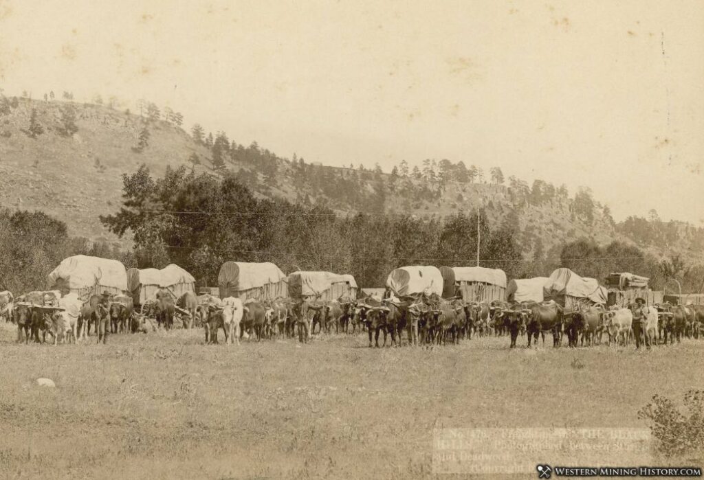 Freighting between Deadwood and Sturgis, South Dakota 1878