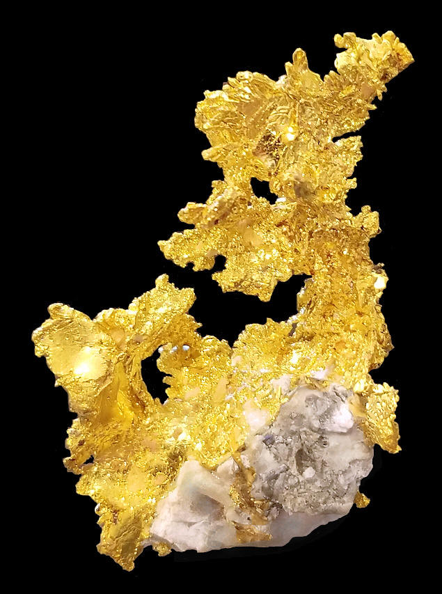 Native Gold perched on Quartz matrix 