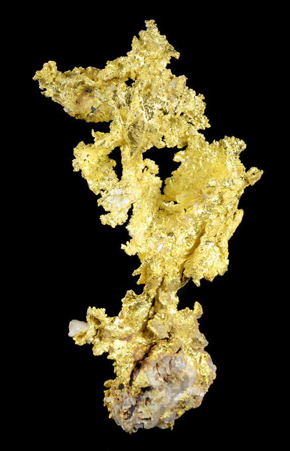 Crystalline native leaf gold on white quartz matrix