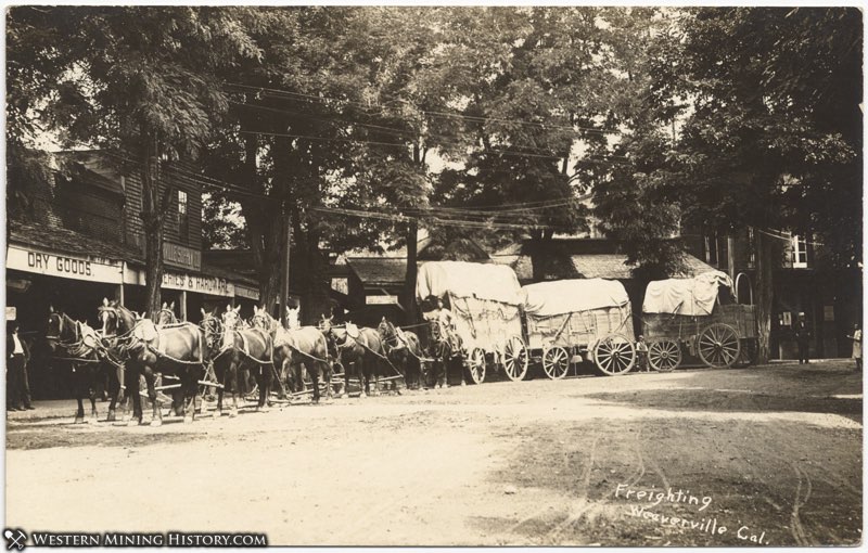 Freighting at Weaverville, California ca. 1900