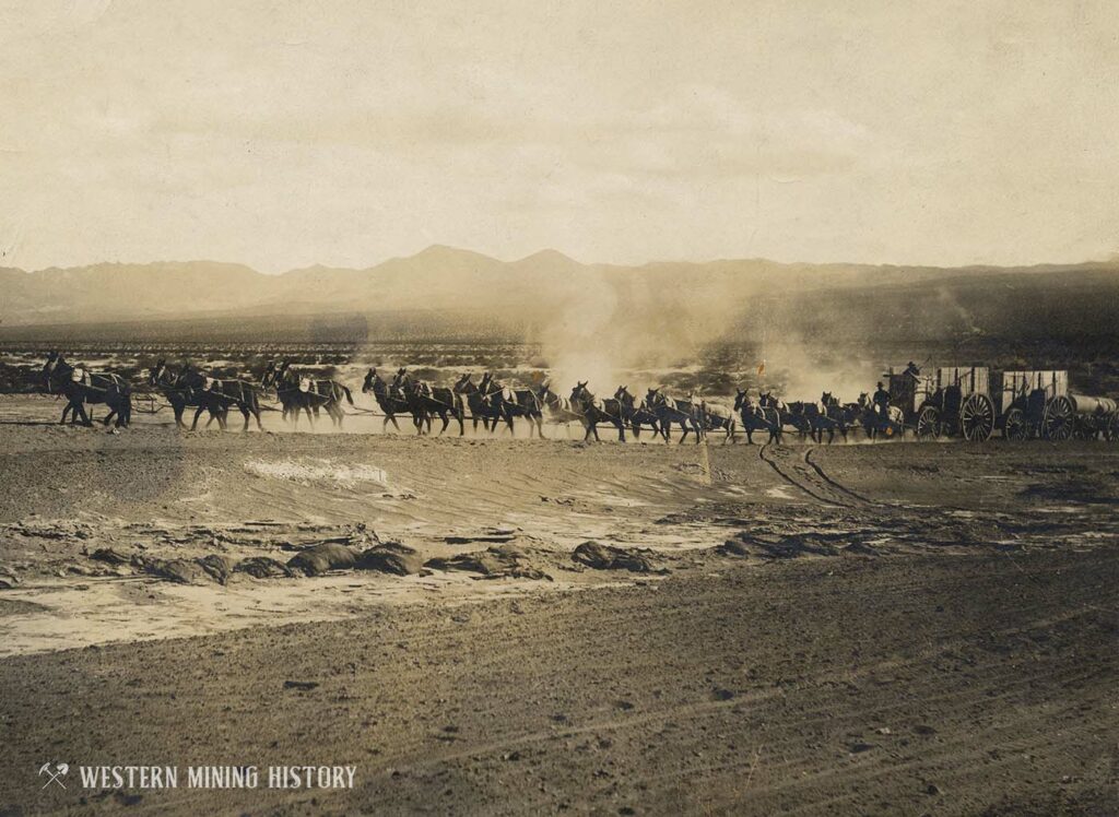 The Twenty Mule Teams of Death Valley Western Mining History